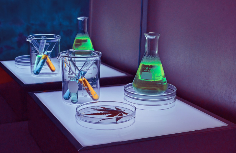 Event Lorem Ipsum Dolor Sit Amet Consectetur #4