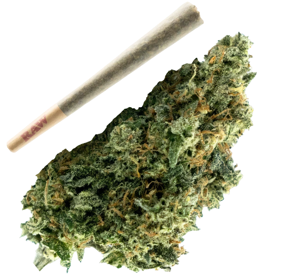 10017 main ad thca pr exotic black sugar 1