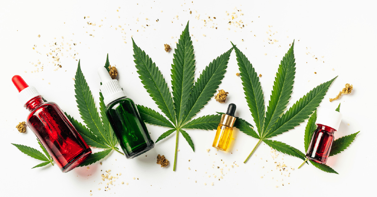 Cannabis 101 – Basic Explainer Cannabis 101 – Basic Explainer