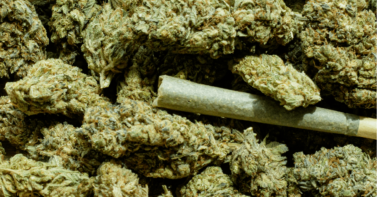 website-header-03 website-header-03