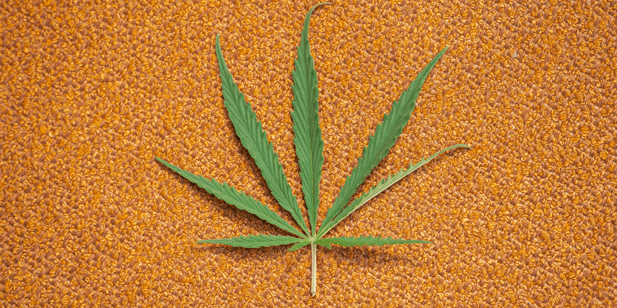 COA 30 strain v species hero image2 04