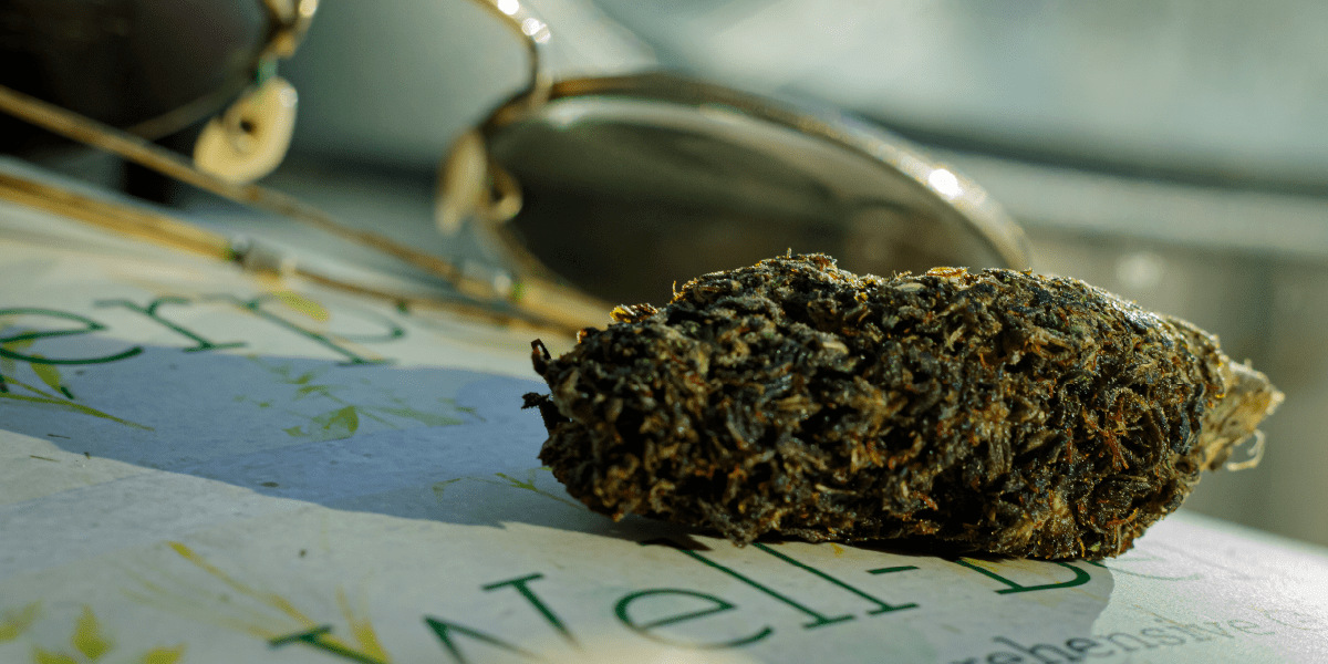 strain-v-species-hero-image_1200x600-hero strain-v-species-hero-image_1200x600-hero