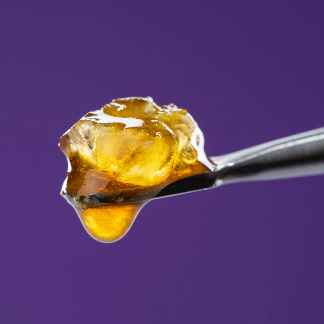 A dabbing tool holding a translucent, golden glob of pure THCA rosin, highlighting its smooth, sticky texture.