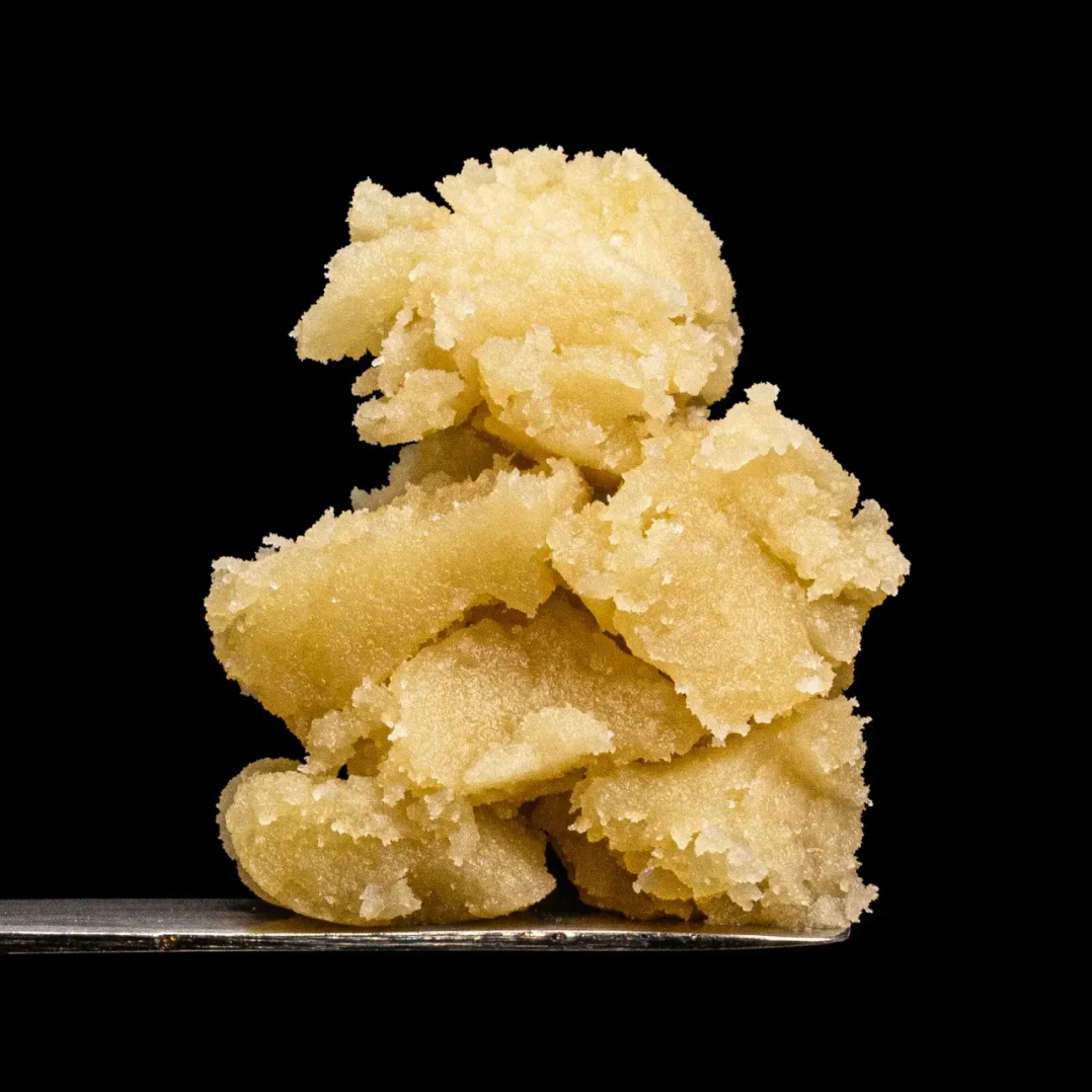 Close-up shot of THCA rosin on a dabbing tool, with its translucent amber hue and thick, gooey texture highlighted against a black background, emphasizing the concentrate's quality and purity.