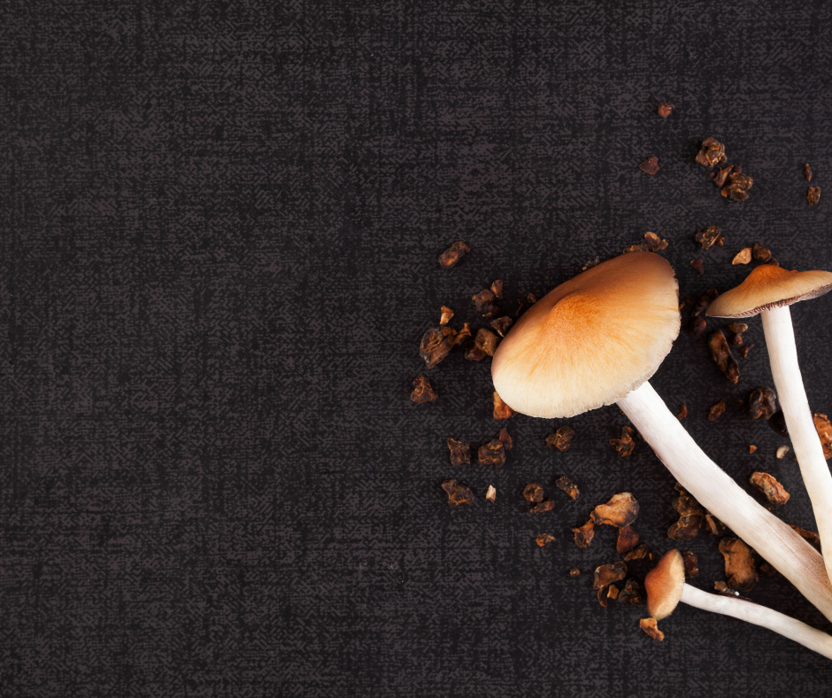 Microdosing Mushrooms 101: A Beginner’s Guide to Benefits, Dosage, and Nootropics Microdosing Mushrooms 101: A Beginner’s Guide to Benefits, Dosage, and Nootropics