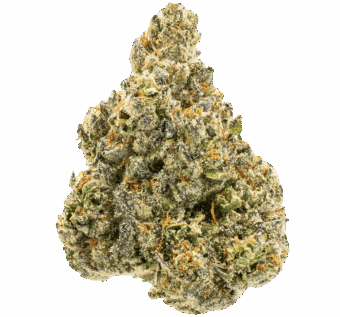 Shop By Effect 24 Pineapple Express thca flower min 1