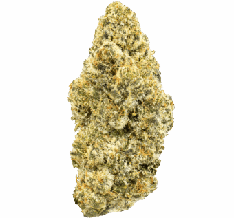 Shop By Effect 23 Blue Meteorite THCA Flower min