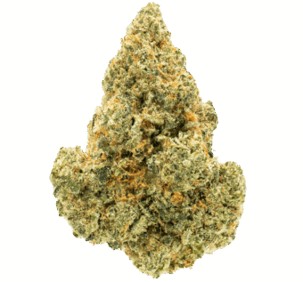 Shop By Effect 8 Apricot Scones thca flower min