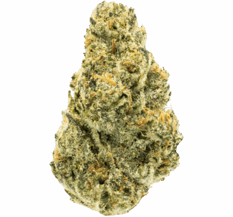 Shop By Effect 20 Astro Candy thca flower min