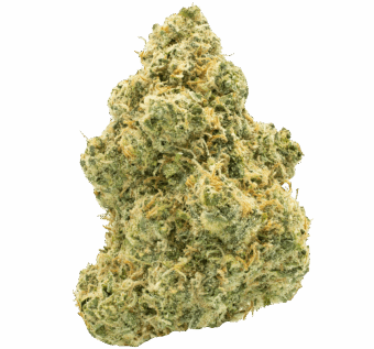 Shop By Effect 18 aye papi thca flower min