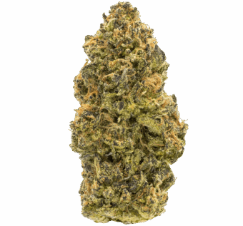 Shop By Effect 16 cromagnon man thca flower min
