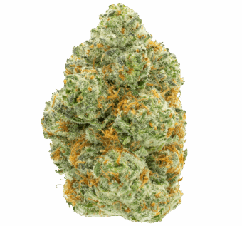 Trop Cherry THCA Flower 27 modified grapes thca flower min