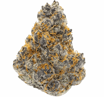 Shop By Effect 10 trop cherry thca flower min 1