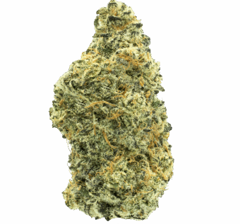 Shop By Effect 6 white devil thca flower min