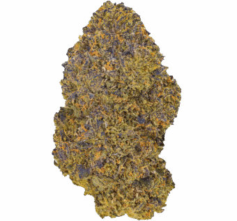 Shop By Effect 17 Donny Burger strain min