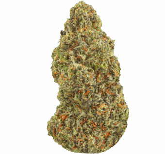 Shop By Effect 10 Pappy OG Strain min