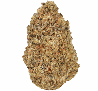 Homepage 2 Coffin Candy Strain min 1