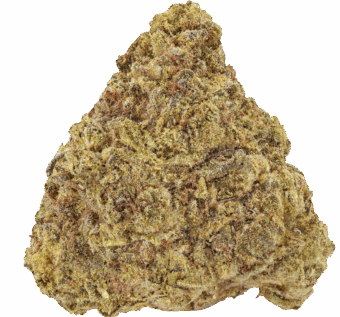 Homepage 4 Illuminati Strain min 1