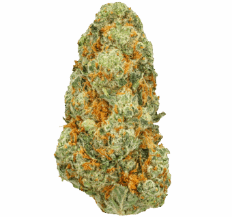 Shop By Effect 23 Jet Fuel Strain min