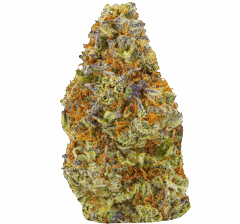 Shop By Effect 12 Peach Rings Strain min