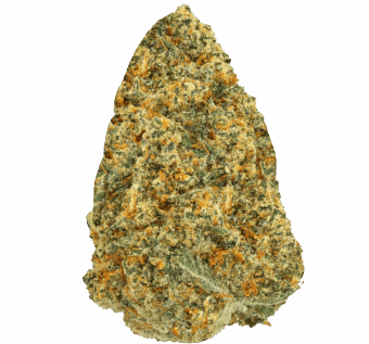 Shop By Effect 6 Tangilope Strain min 1