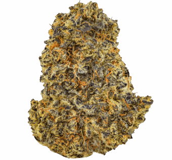 Shop By Effect 16 White Bugatti Strain 1 min
