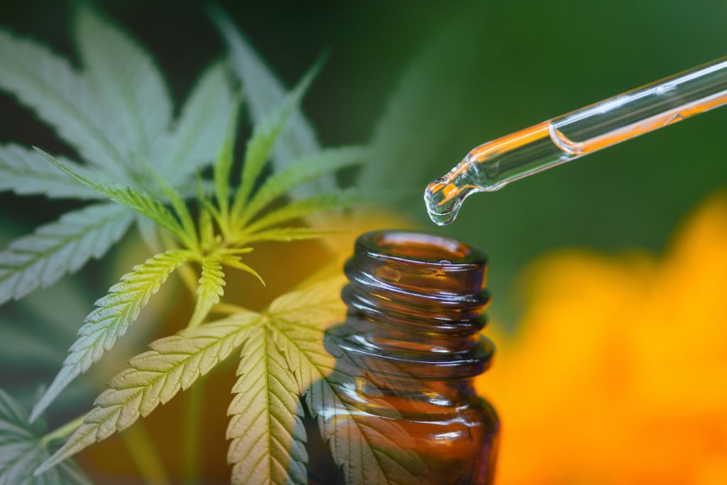Trump’s CBD Endorsement Boosts Senior Interest in Natural Wellness Trump’s CBD Endorsement Boosts Senior Interest in Natural Wellness